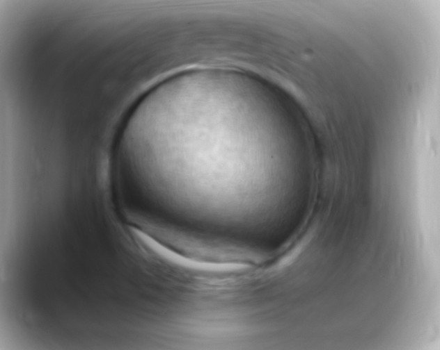 X0000088491506200706051409