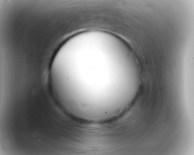 X0000088491507200706051409