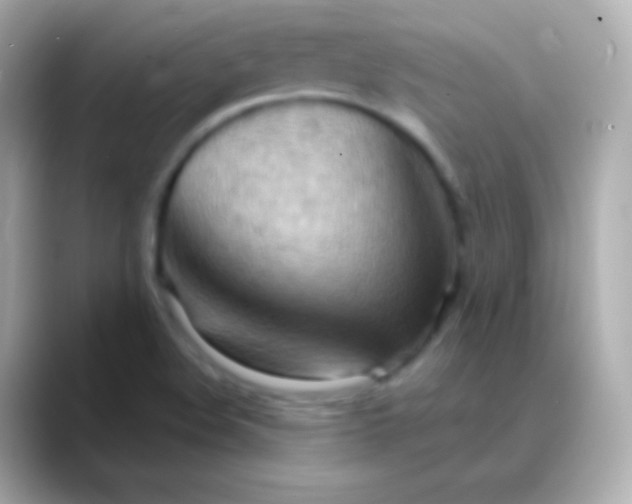 X0000088491508200706051409