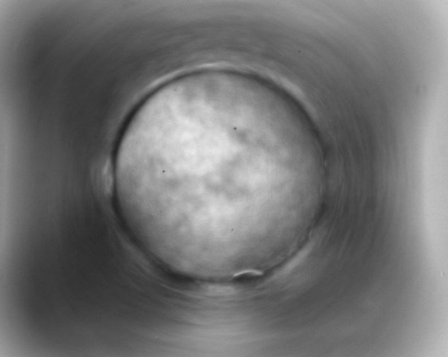 X0000088491509200706051409