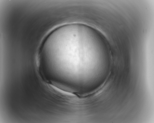 X0000088491510200706051409