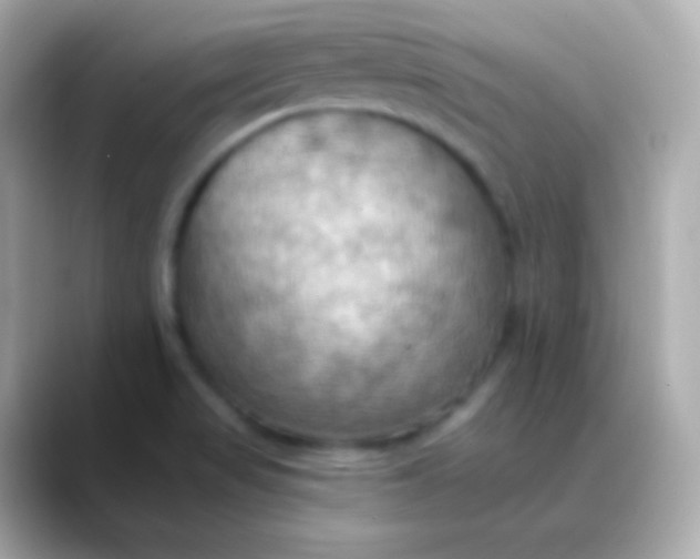 X0000088491517200706051409