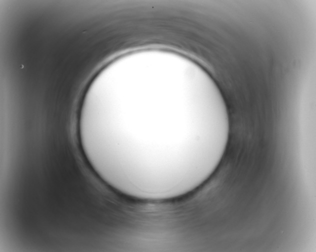 X0000088491518200706051409