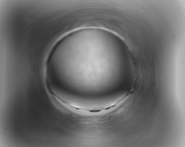X0000088491519200706051409