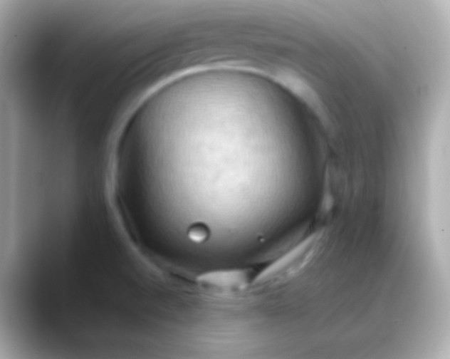 X0000088491520200706051409