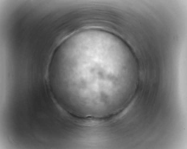 X0000088491521200706051409