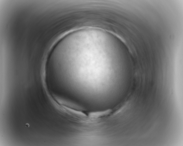 X0000088491523200706051409