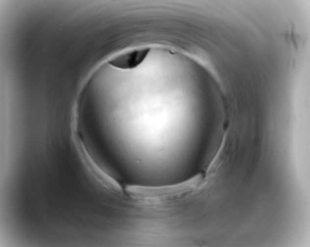 X0000088491524200706051409