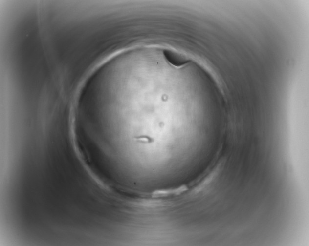 X0000088491525200706051409