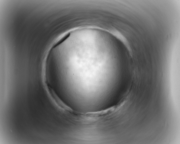 X0000088491528200706051409