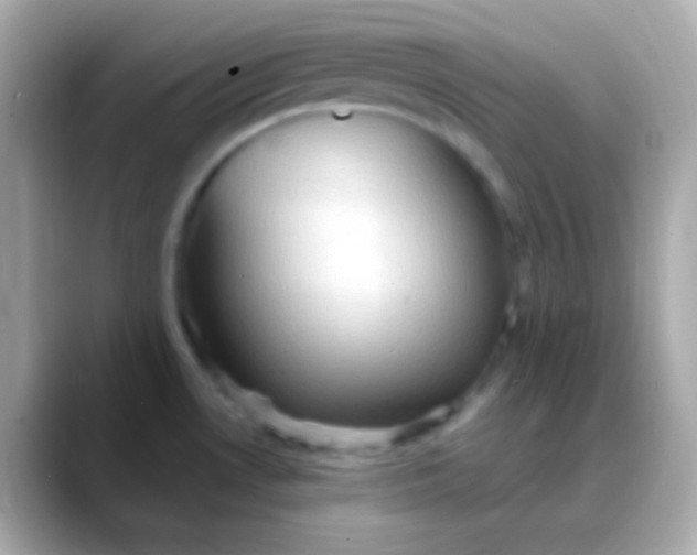 X0000088491530200706051409