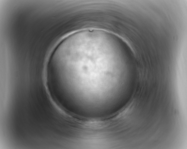 X0000088491531200706051409