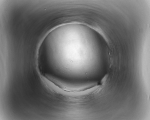 X0000088491532200706051409
