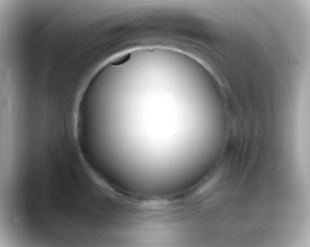 X0000088491535200706051409