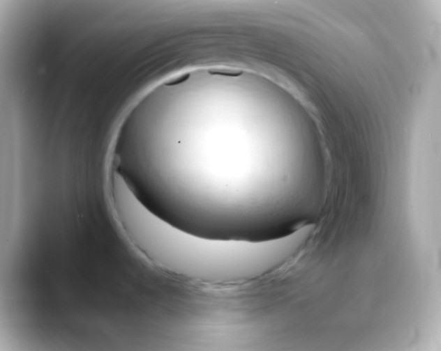 X0000088491536200706051409