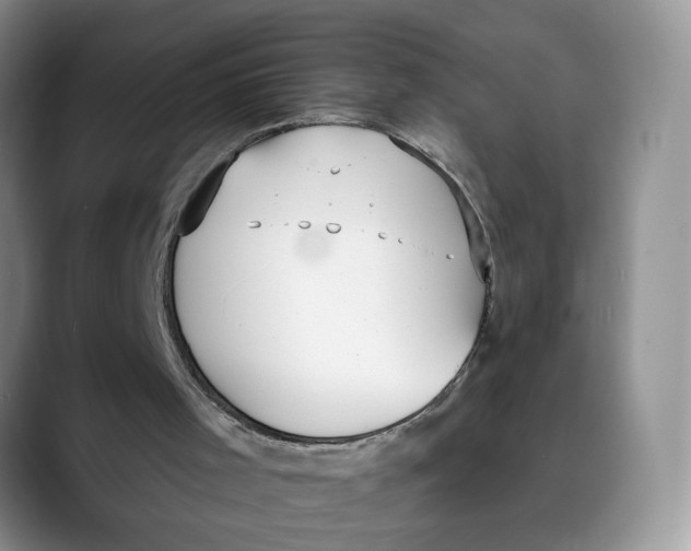 X0000088490001200706121557