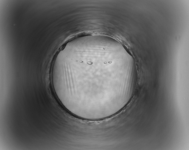 X0000088490002200706121557