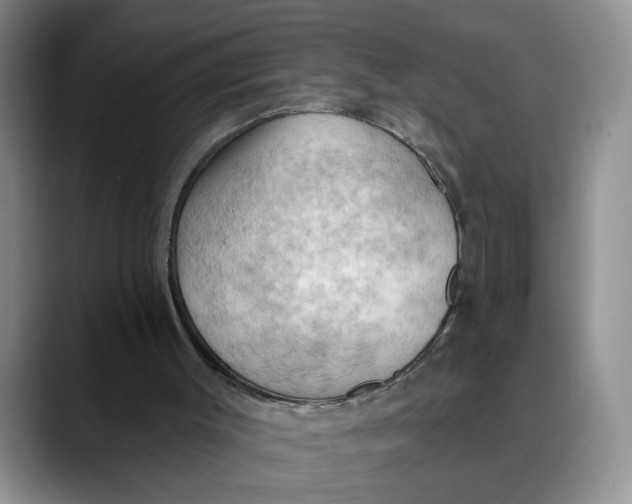 X0000088490003200706121557