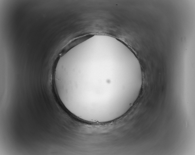 X0000088490005200706121557