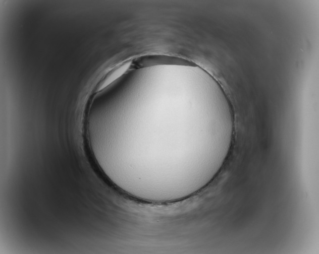 X0000088490007200706121557