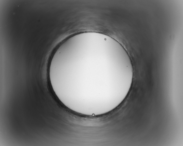 X0000088490008200706121557