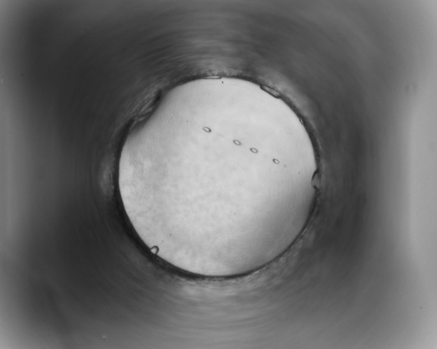 X0000088490009200706121557