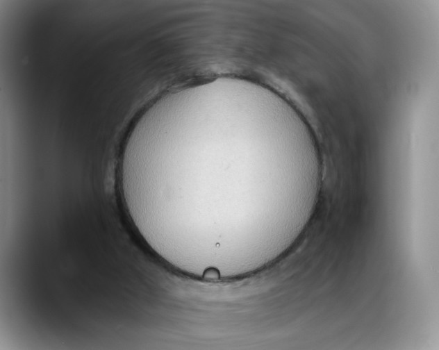 X0000088490010200706121557