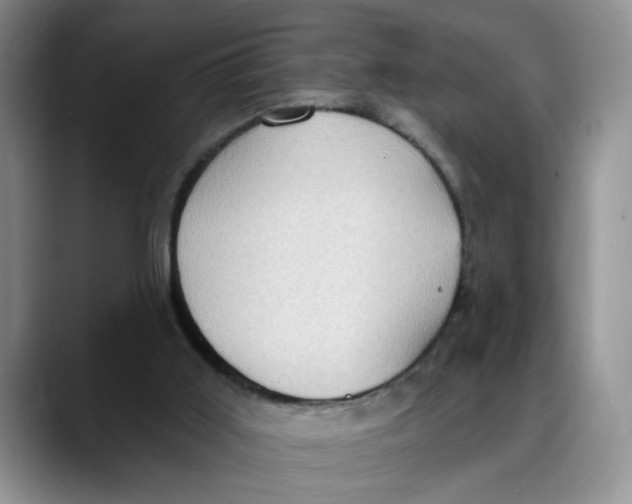 X0000088490011200706121557