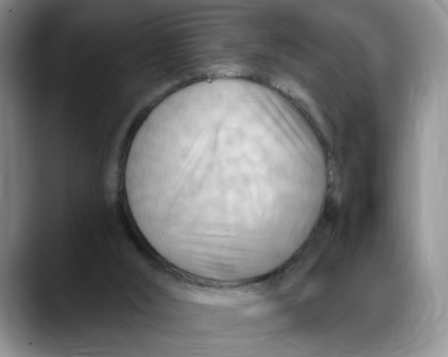 X0000088490012200706121557