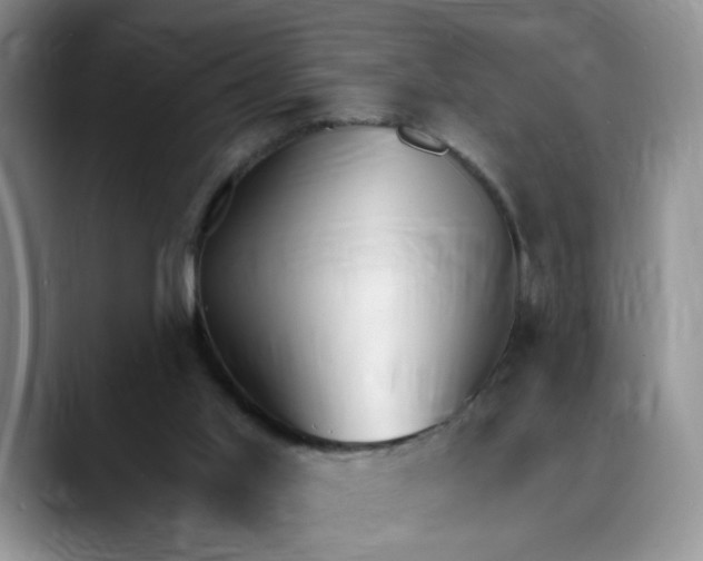 X0000088490013200706121557