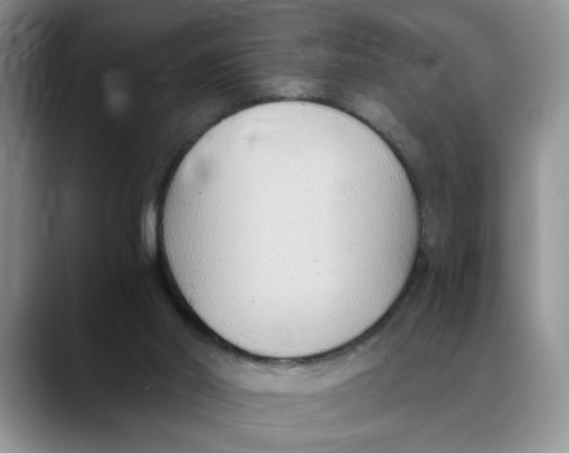 X0000088490014200706121557
