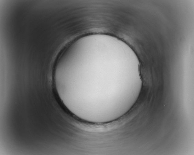 X0000088490015200706121557