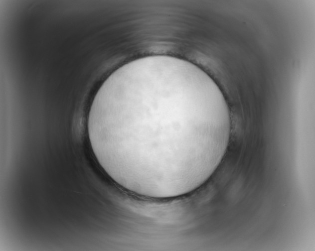 X0000088490016200706121557