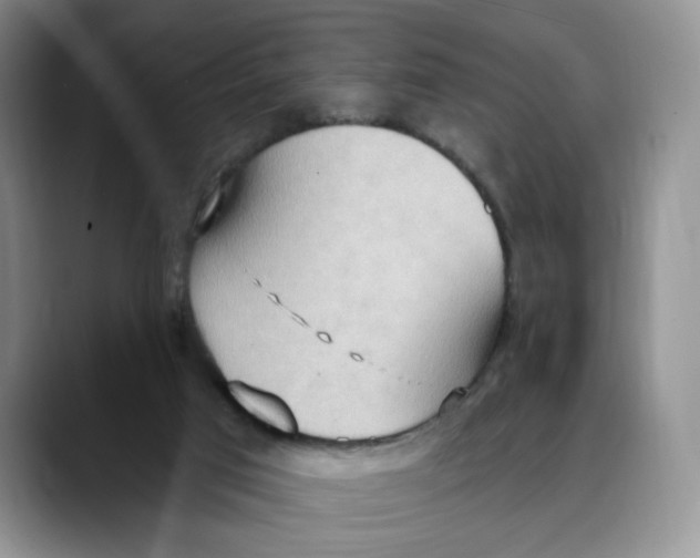 X0000088490017200706121557
