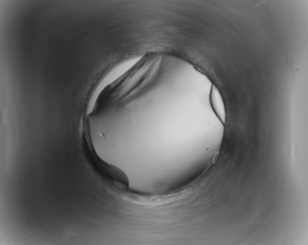 X0000088490019200706121557