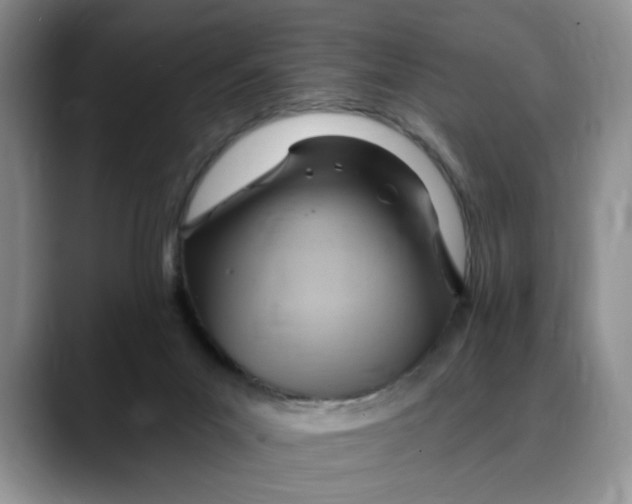 X0000088490023200706121557