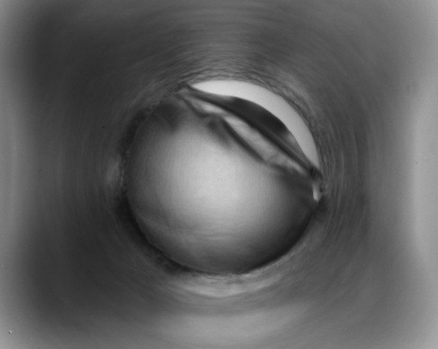 X0000088490029200706121557
