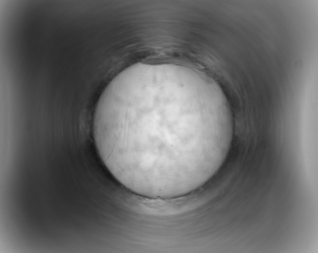 X0000088490030200706121557