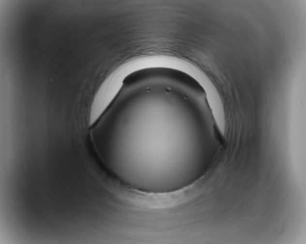 X0000088490031200706121557