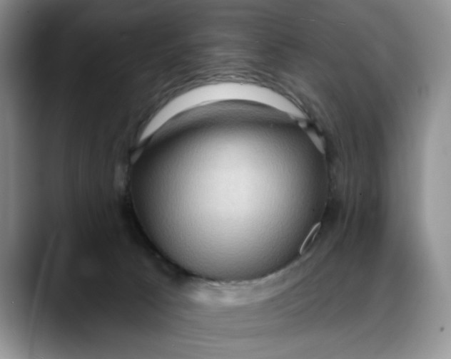 X0000088490033200706121557