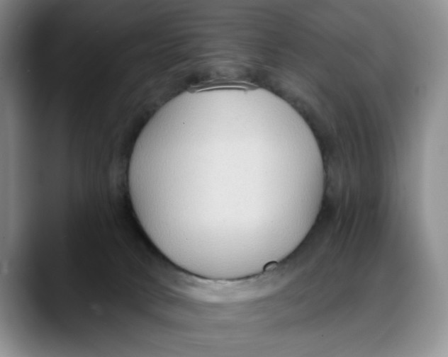 X0000088490034200706121557