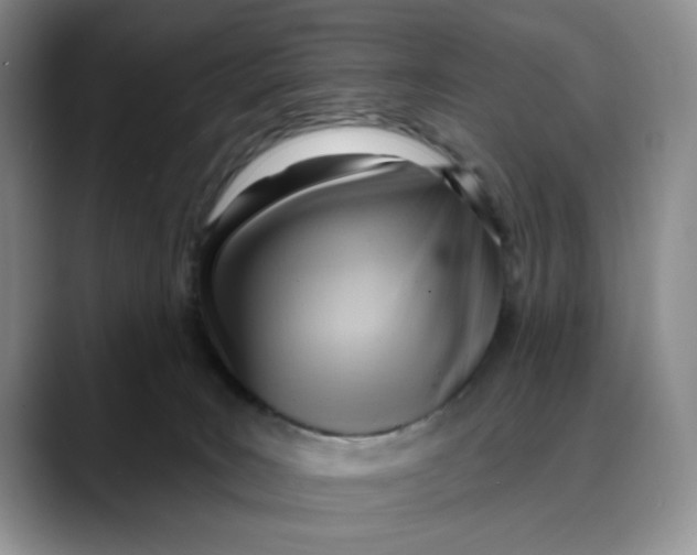 X0000088490035200706121557