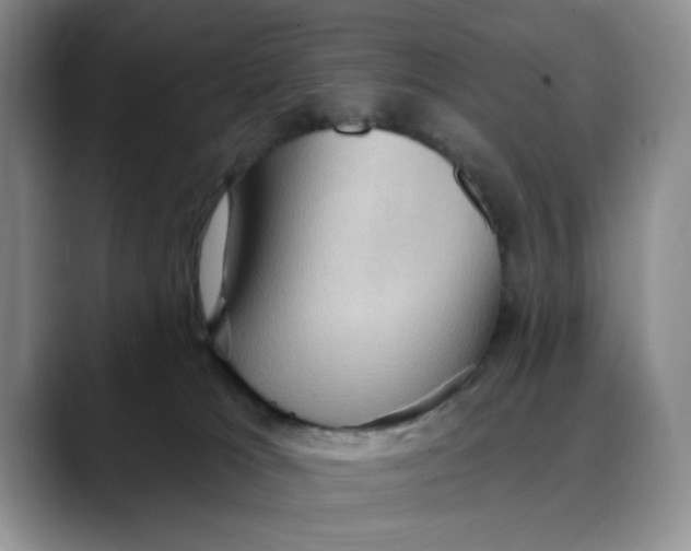 X0000088490037200706121557