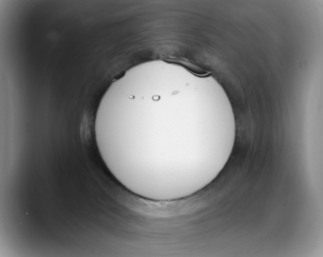 X0000088490038200706121557