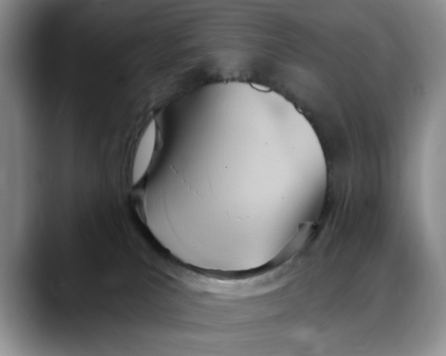 X0000088490039200706121557