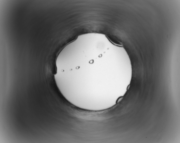 X0000088490040200706121557
