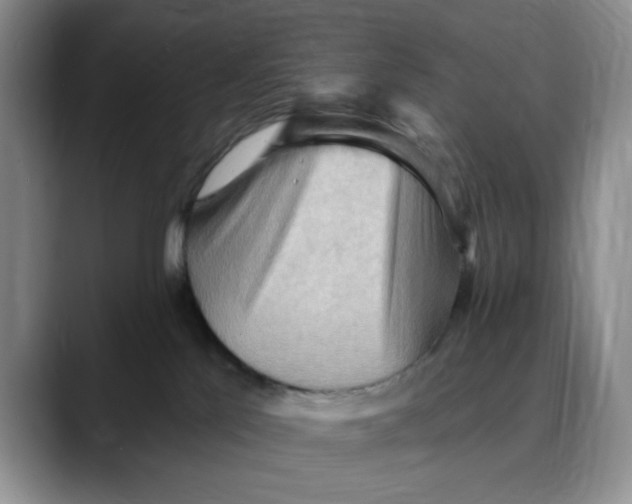 X0000088490041200706121557