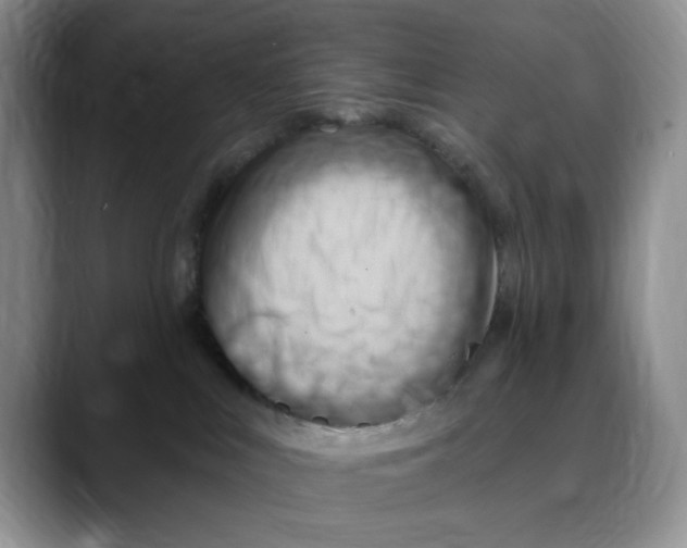 X0000088490043200706121557