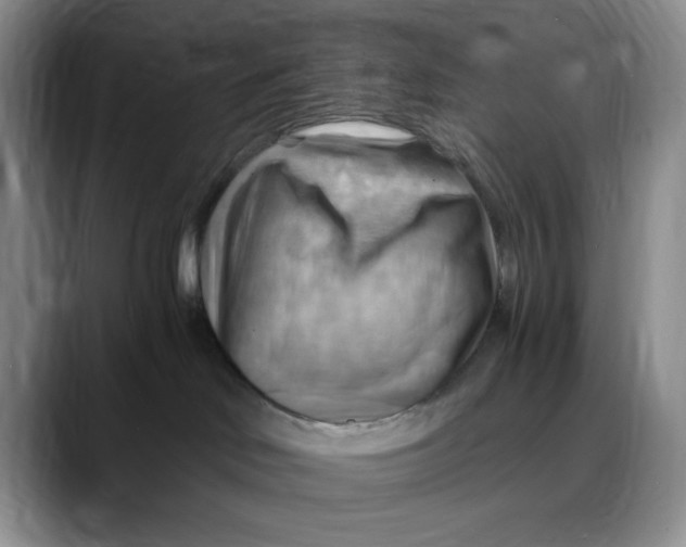 X0000088490046200706121557
