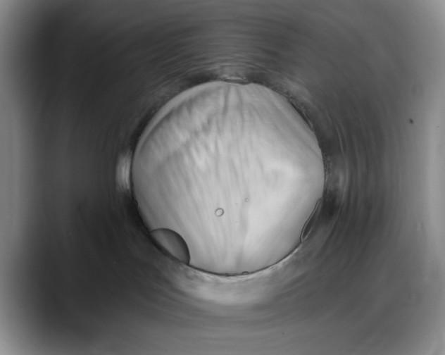 X0000088490047200706121557